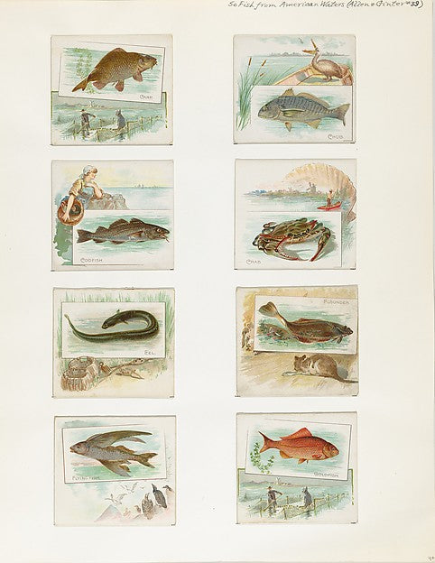 :Album 202 page 40 1884–93-16x12"(A3) Poster