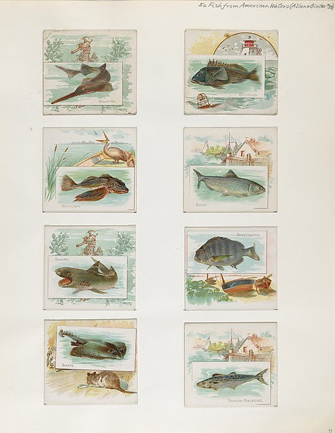 :Album 202 page 43 1884–93-16x12"(A3) Poster