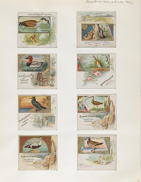 :Album 202 page 47 1884–93-16x12"(A3) Poster