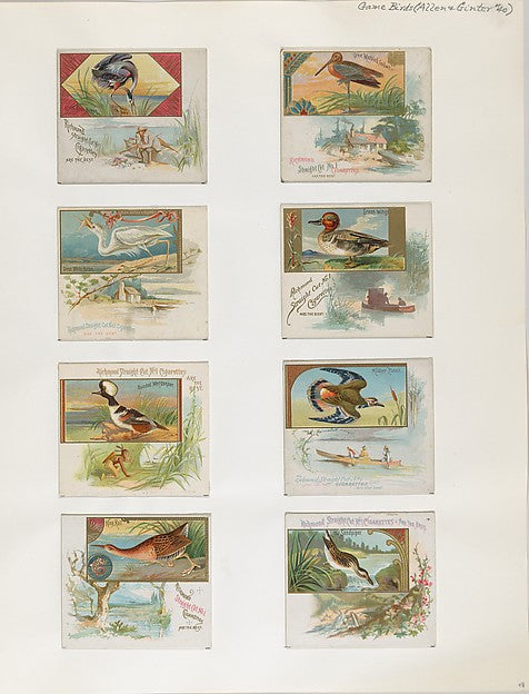 :Album 202 page 48 1884–93-16x12"(A3) Poster