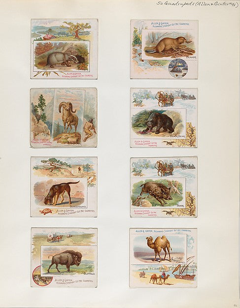 :Album 202 page 52 1884–93-16x12"(A3) Poster