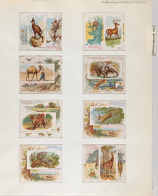 :Album 202 page 53 1884–93-16x12"(A3) Poster