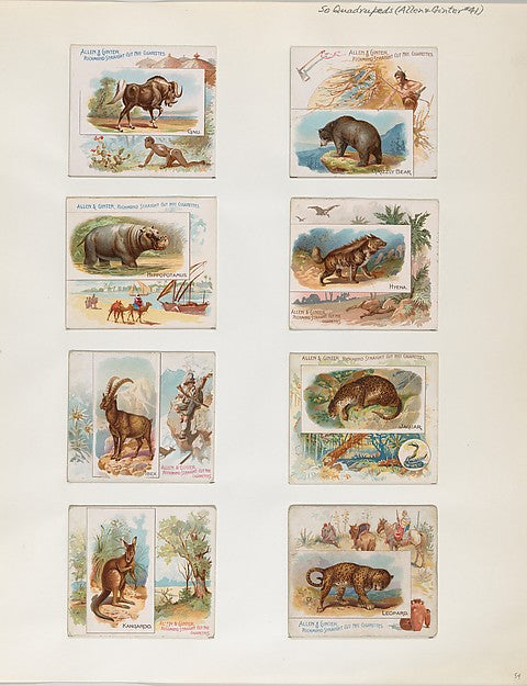 :Album 202 page 54 1884–93-16x12"(A3) Poster