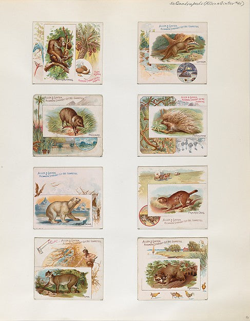 :Album 202 page 56 1884–93-16x12"(A3) Poster