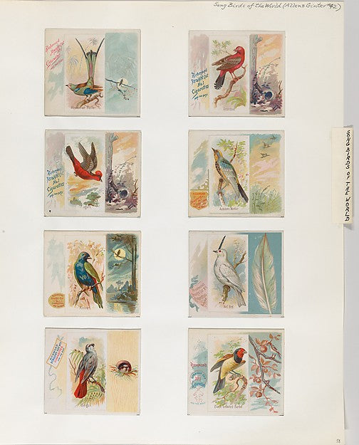 :Album 202 page 58 1884–93-16x12"(A3) Poster