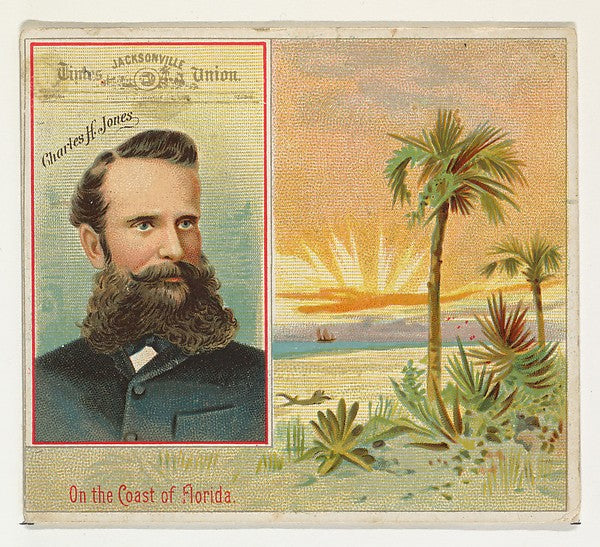 :Charles H. Jones Jacksonville Times Union from the American-16x12"(A3) Poster