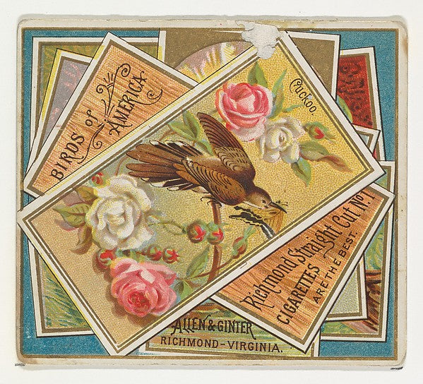 :Cuckoo from the Birds of America series for Allen & Ginter -16x12"(A3) Poster