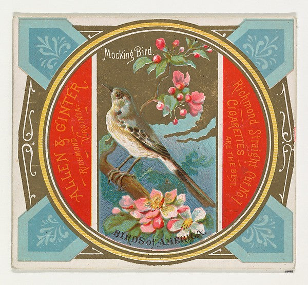 :Mockingbird from the Birds of America series for Allen & Gi-16x12"(A3) Poster