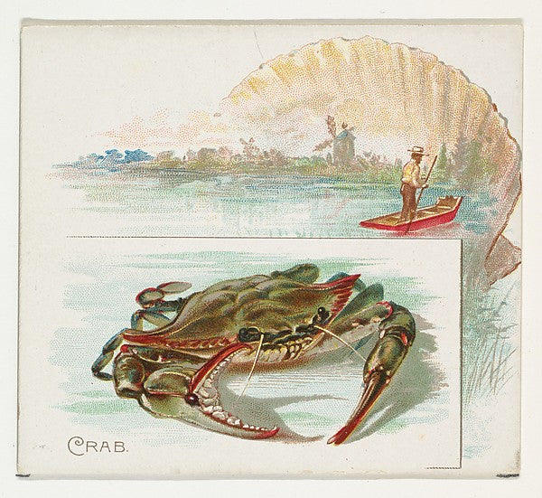 :Crab from Fish from American Waters series for Allen & Gint-16x12"(A3) Poster