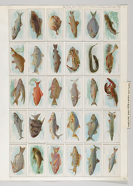 :Album 201 page 15-16x12"(A3) Poster