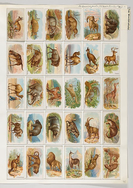 :Album 201 page 45-16x12"(A3) Poster