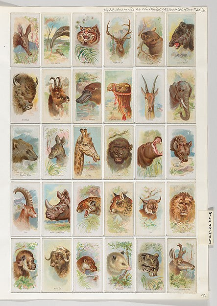 :Album 201 page 55-16x12"(A3) Poster