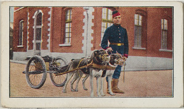 Historic photograph by Underwood & Underwood - Card No. 76 Bel, Poster Print Wall Art