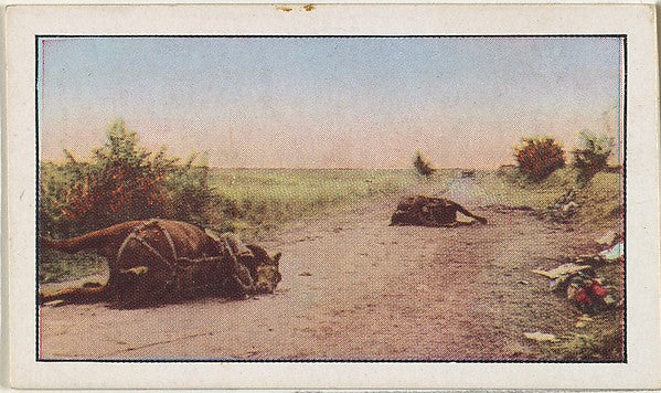Historic photograph by Underwood & Underwood - Card No. 145 Af, Poster Print Wall Art