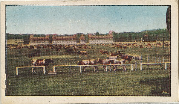 Historic photograph by Underwood & Underwood - Card No. 149 Wa, Poster Print Wall Art