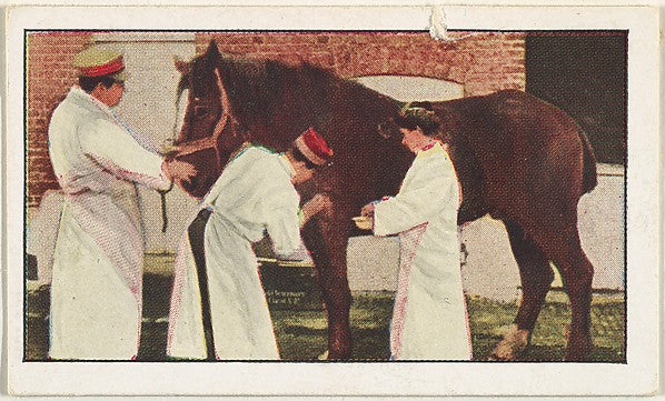 Historic photograph by Underwood & Underwood - Card No. 238 Mi, Poster Print Wall Art