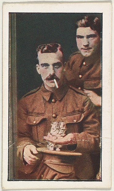 Historic photograph by Underwood & Underwood - Card No. 232 Br, Poster Print Wall Art
