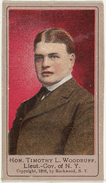 George Gardner Rockwood - Honorable Timothy L. Woodruff Lieute, Poster Print Wall Art