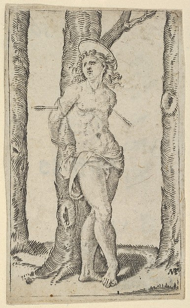 Saint Sebastian tied to tree pierced with arrows from the ser,16x12"(A3) Poster