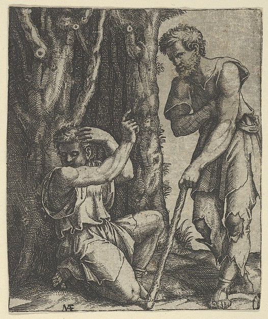 Man kneeling at the edge of a wood pointing with his right han, Poster Print