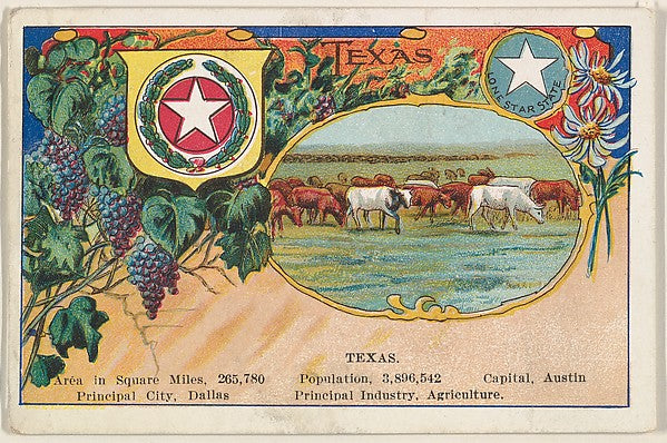 :Texas postcard from the Cards of States series issued by t-16x12"(A3) Poster