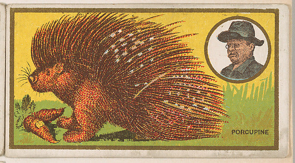 :Porcupine from the "Teddy's Trophies" series for the Americ-16x12"(A3) Poster