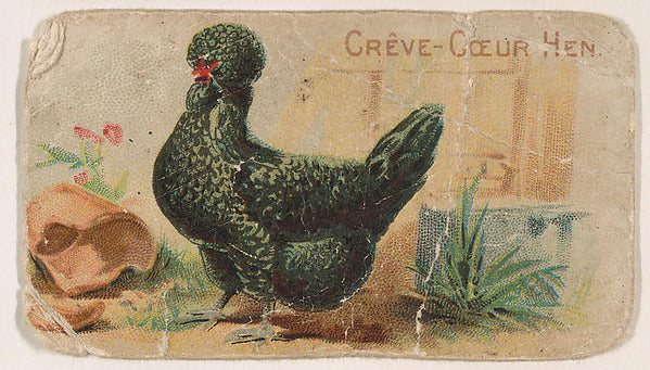 :Crève-Cœur Hen from the Zoo Fowls series issued by The Phil-16x12"(A3) Poster