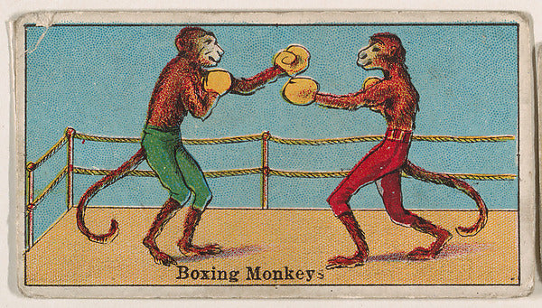 :Boxing Monkeys from The Circus series issued by Messer's Gu-16x12"(A3) Poster