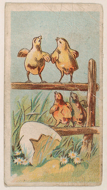 :Four chicks crowing on fence from the Easter Subjects serie-16x12"(A3) Poster