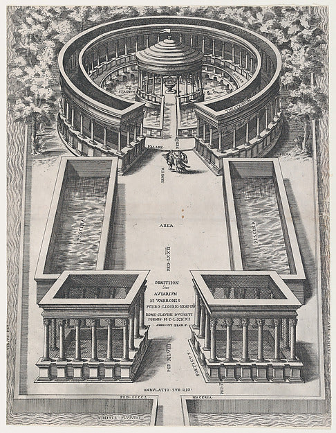 Speculum Romanae Magnificentiae - Ornithon Sive Aviarum 1581-Gi, Poster Print Wall Art