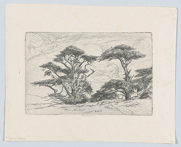Ernest Haskell:Cypress Lace 1920-16x12"(A3) Poster