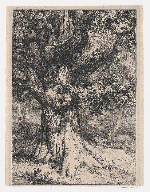 Eugène Stanislas Alexandre Bléry:The Charlemagne Oak Tree wi-16x12"(A3) Poster
