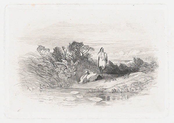 Karl Bodmer:Two Herons c1860-16x12"(A3) Poster