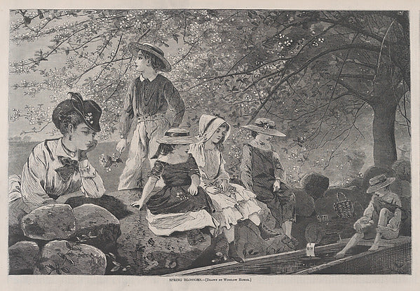 Spring Blossoms – Drawn by Winslow Homer May 12, 1870-Winslow, Poster Print