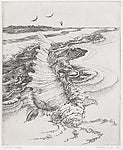 Gigantic Shell 1947-Christine Engler ,16x12"(A3)Poster