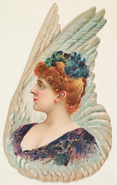 :Wings of a Bird from the Novelties series issued by Gail & -16x12"(A3) Poster