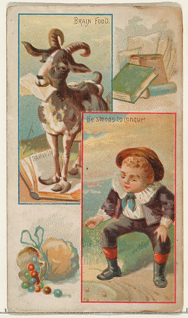 :Brain Food / He Stoops to Conquer from the Jokes series iss-16x12"(A3) Poster