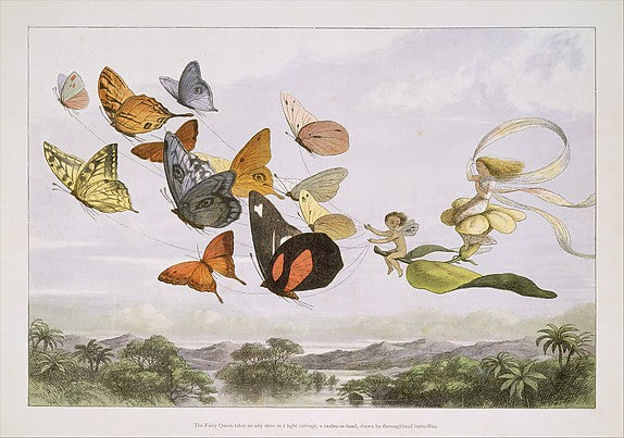 In Fairyland - A Series of Pictures from the Elf-World 1870-Ric, Poster Print Wall Art