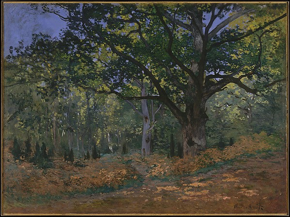 Claude Monet:The Bodmer Oak Fontainebleau Forest 1865-16x12"(A3) Poster