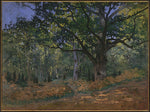 Claude Monet:The Bodmer Oak Fontainebleau Forest 1865-16x12"(A3) Poster
