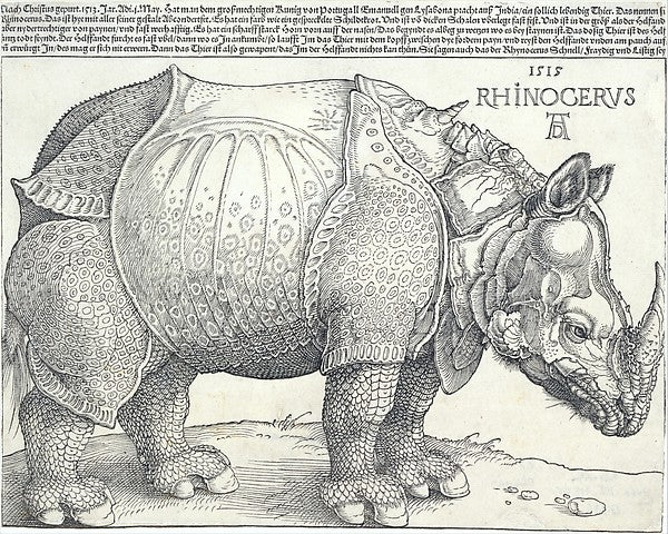 The Rhinoceros 1515-Albrecht Dürer, Poster Print Wall Art