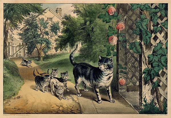 Pussy's Return 1874–78-, Poster Print Wall Art