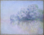 Claude Monet:Île aux Orties near Vernon 1897-16x12"(A3) Poster