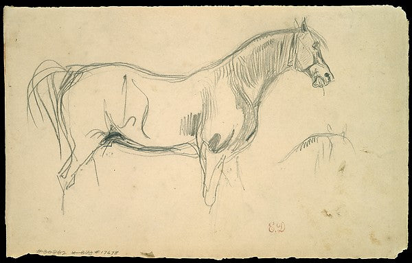 Eugène Delacroix:Studies of a Horse in Profile 1823–30-16x12"(A3) Poster