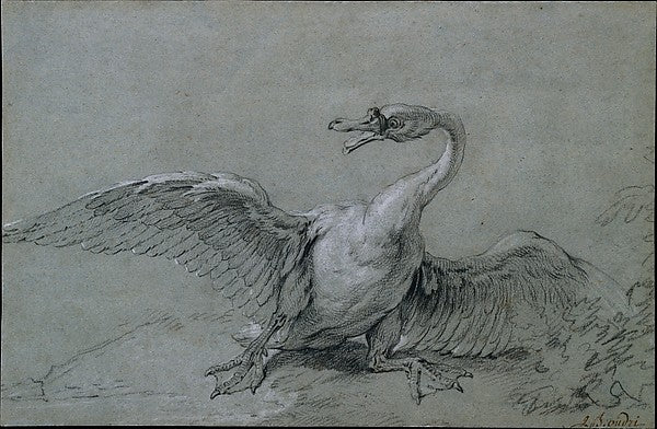 Angry Swan 18th cent-Jean-Baptiste Oudry, Poster Print Wall Art