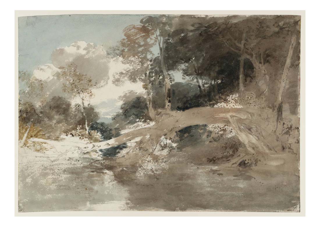 Fonthill, A Fallen Tree beside a Lake, 1799 by John Mallord William Turner RA