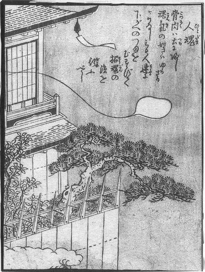 Hitodama, historic, vintage ukiyo-e Japan artwork,12x8"(A4) Poster Print