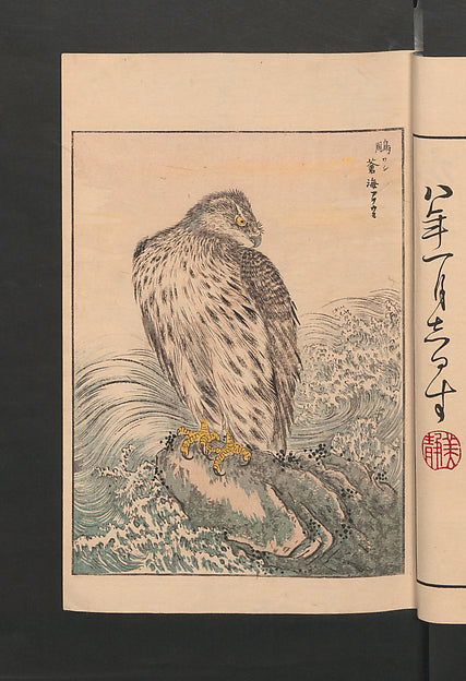 ,Picture Album of Various Birds 1885, first month-Numata,16x12"(A3) Poster