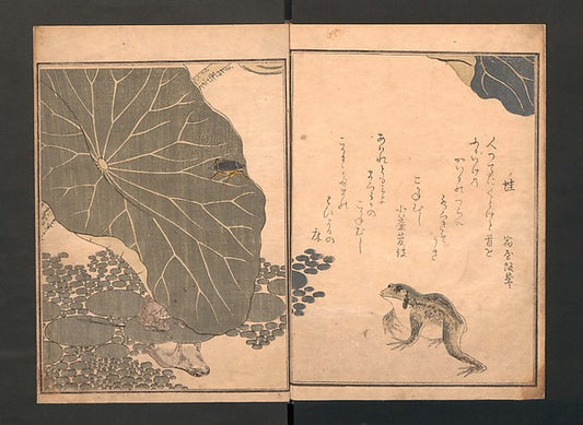 ,Picture Book of Crawling Creatures  probably 1823-Kitaga,16x12"(A3) Poster