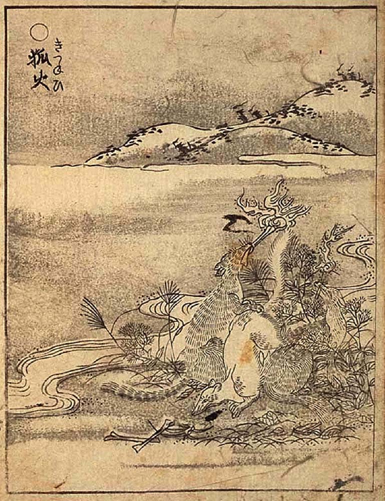Kitsunebi2, historic, vintage ukiyo-e Japan artwork,12x8"(A4) Poster Print